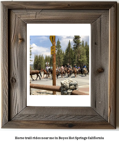 horse trail rides near me in Boyes Hot Springs, California